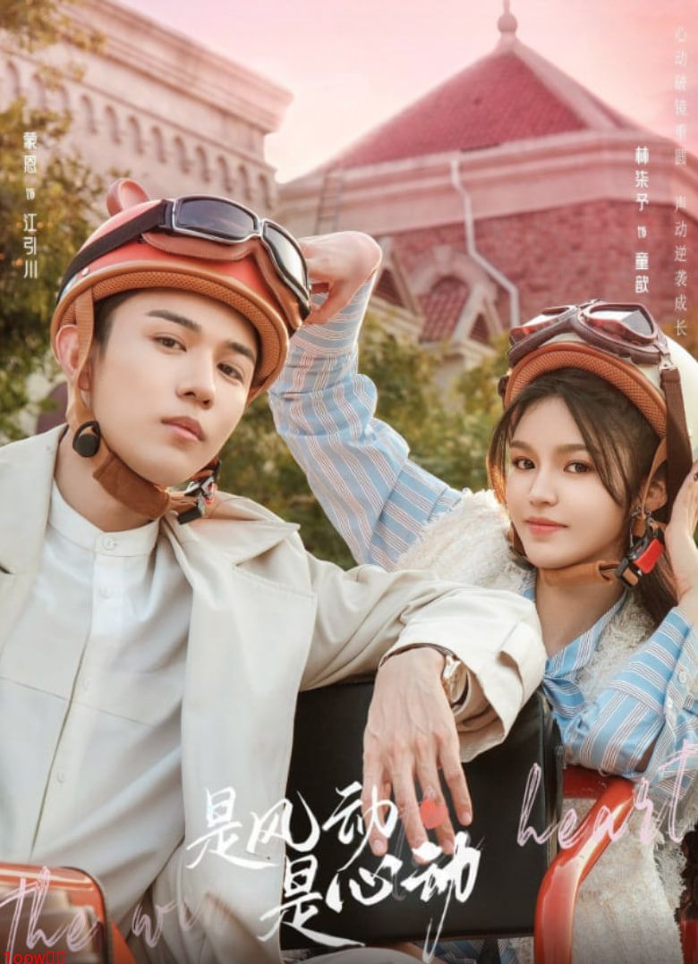 是风动、是心动封面图