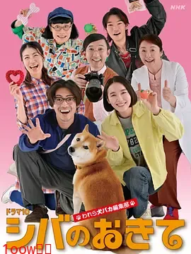 柴犬的规矩～我们这群狗痴编辑部～封面图