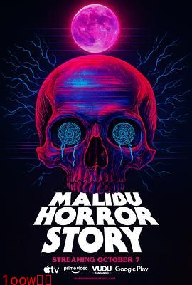 马里布录像带封面图