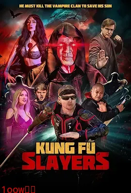 功夫杀手2024封面图