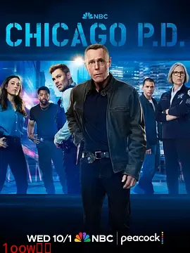 芝加哥警署第十三季封面图