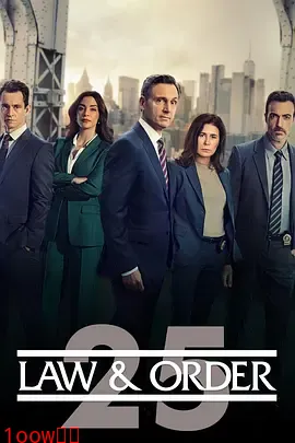 法律与秩序第二十五季封面图