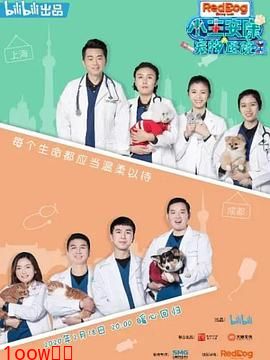 小主安康－宠物医院2封面图