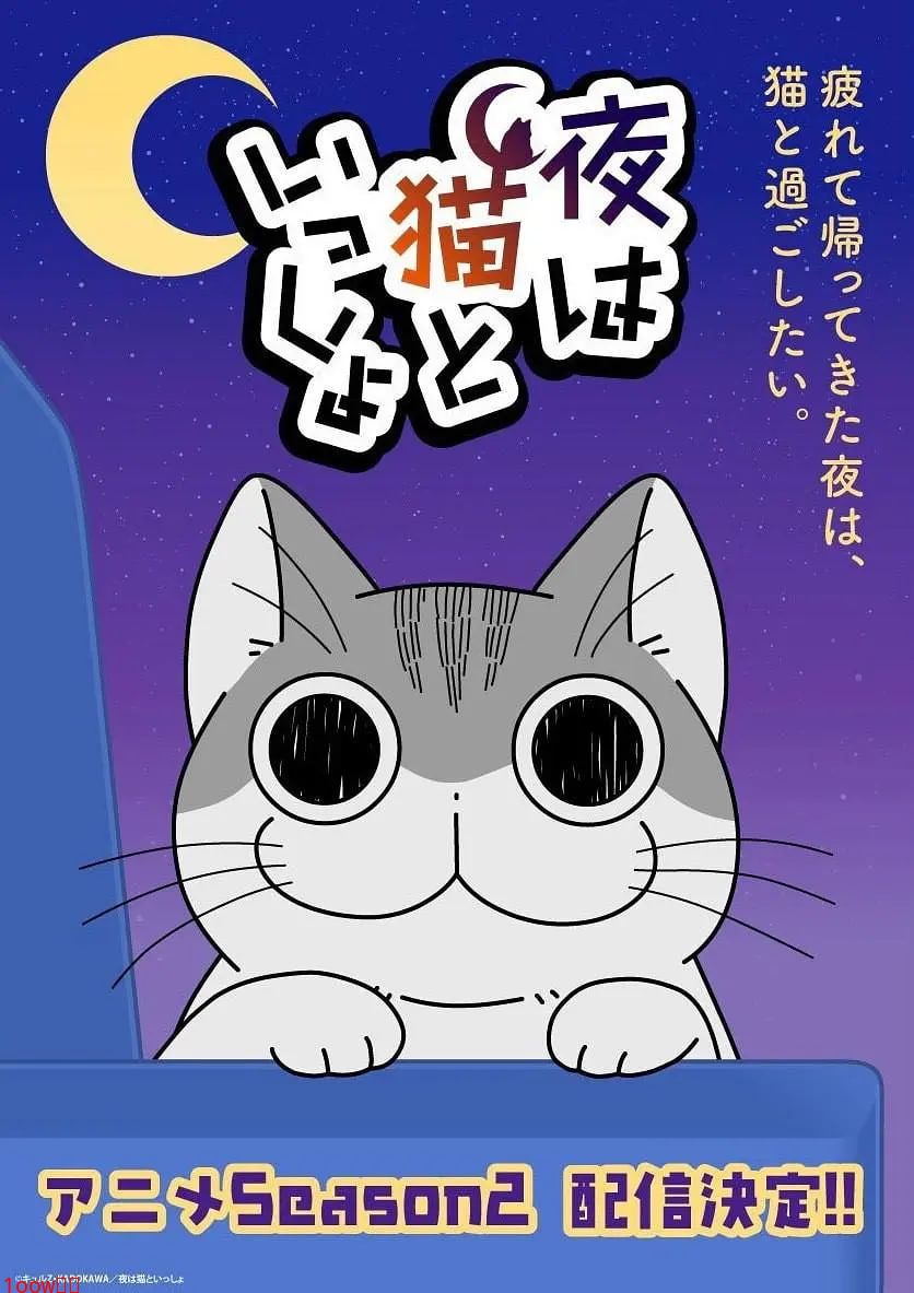 关于养猫我一直是新手 第二季封面图