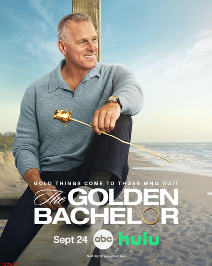 黄金单身汉 第二季封面图