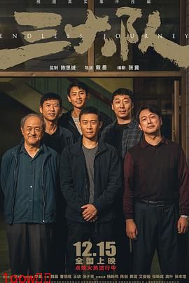 三大队剧版封面图