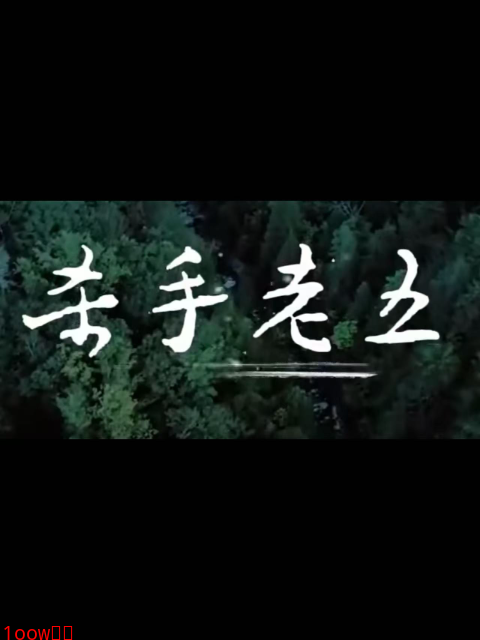 杀手老五封面图