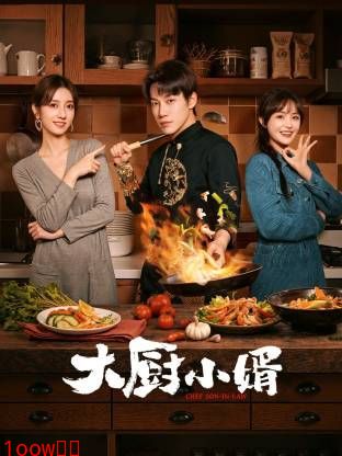 大厨小婿封面图