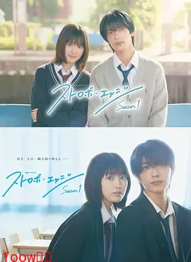 闪烁的爱情第一季封面图