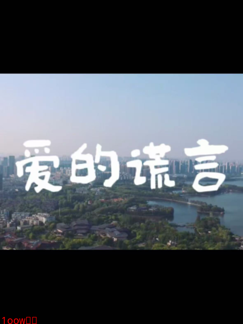 爱的谎言封面图