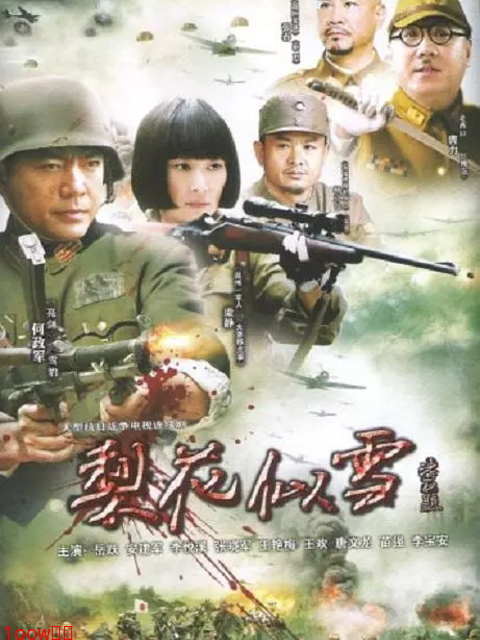 梨花似雪封面图