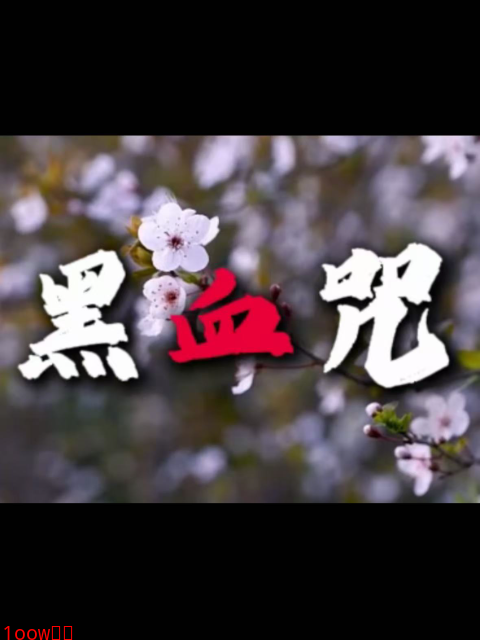 黑血咒封面图