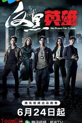 反黑英雄 普通话版封面图