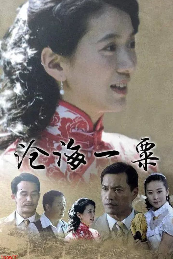 沧海一粟封面图