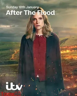 洪水之后第二季封面图